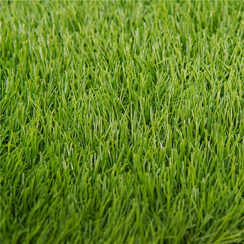 PE Turf for Lowcountry PE Turf for Lowcountry