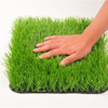 Resistant Durability Soccer Field Turf Artificial Turf 