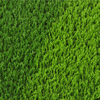  Non-infilled Football Artificial Turf Indoor Soccer Artificial Grass