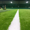 Indoor Soccer Football Pitch with Free Filling Artificial Grass Integrated Supplying Solution 