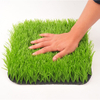 Good Fire Resistance Soccer Football Artificial Synthetic Grass