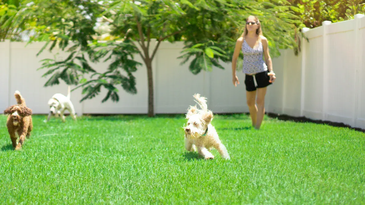 Reasons Artificial Grass Is Good for Your Pets