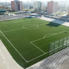 7 People Each Side Football Soccer Field Integrated Supplying Solution