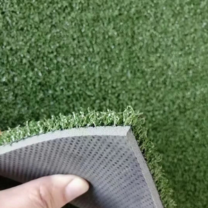 Artificial Turf for Gym Gymnasium No Smell With Soft Rubber Mat